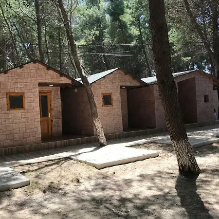Kompleksi Algedi * Vlore