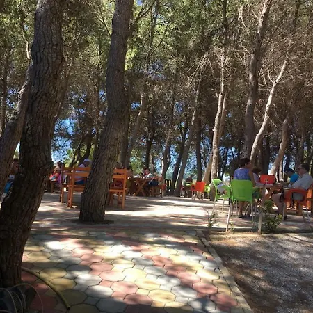 Kompleksi Algedi Vlore