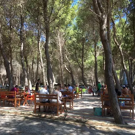 Lodge Kompleksi Algedi Vlore